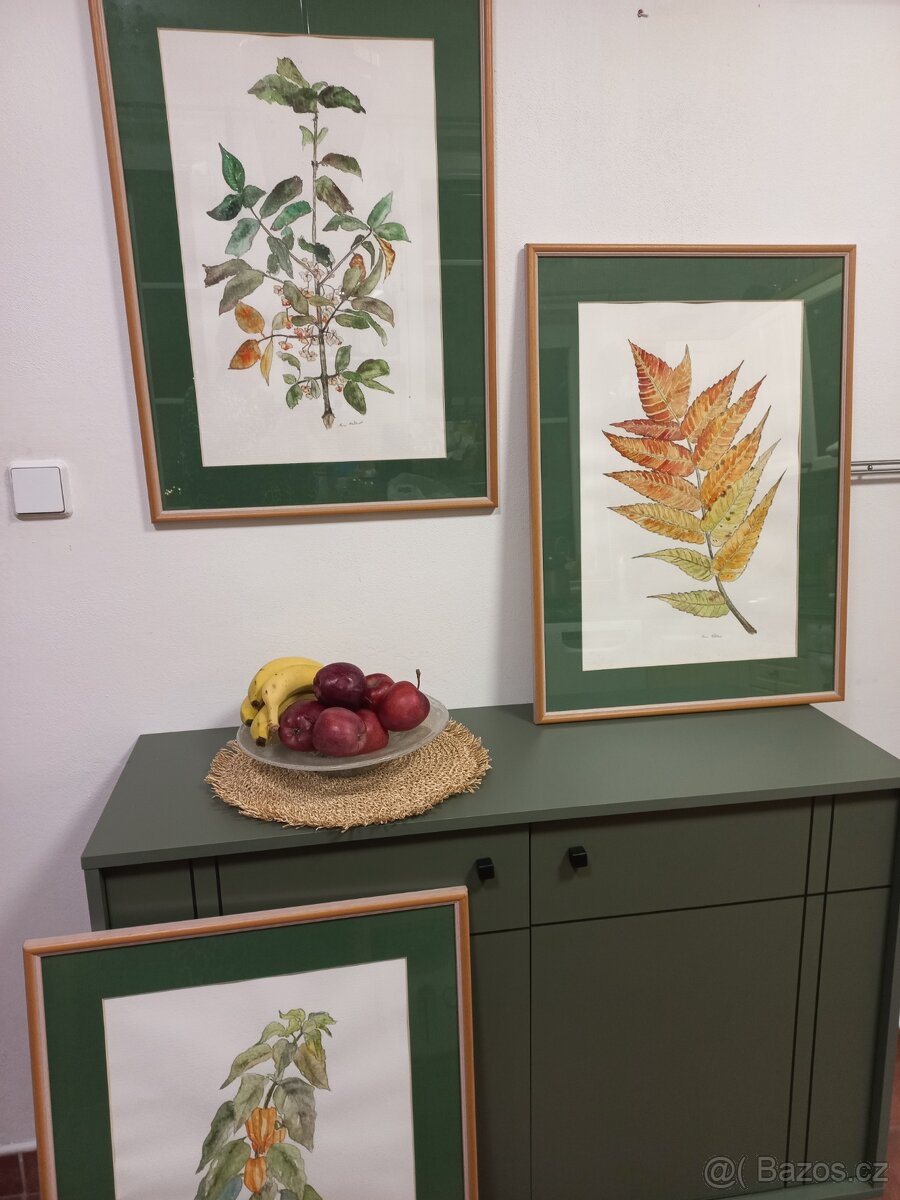 Obraz akvarel II - 2