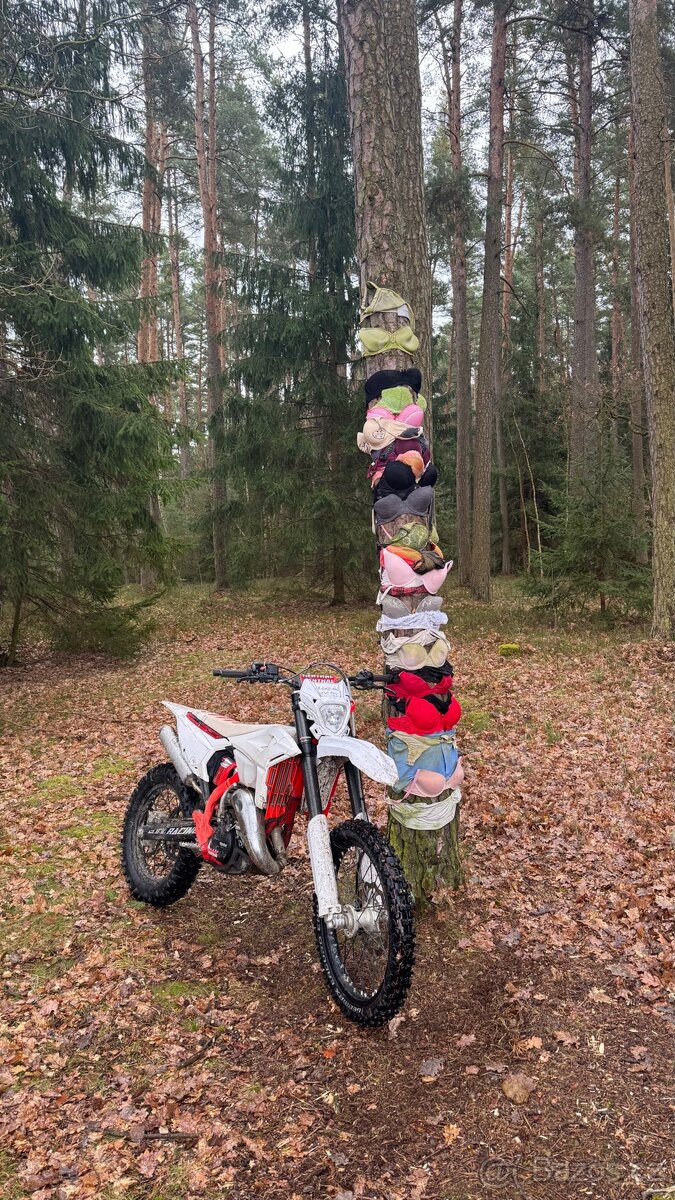 Beta rr125 X-pro 2025 - 2