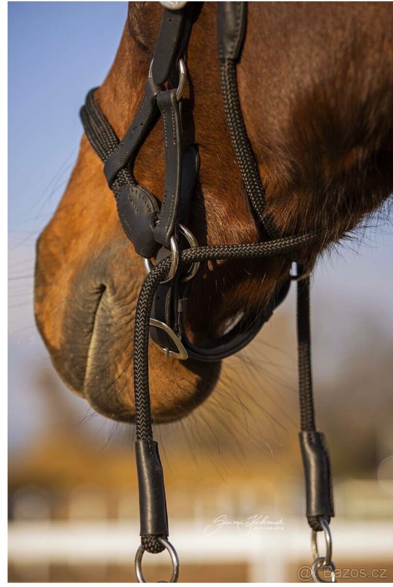 Barefoot bezdudidlová uzdečka Syringa - 2