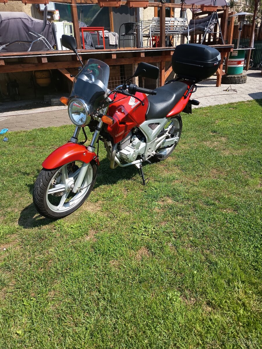 Honda CBF 250 - 2
