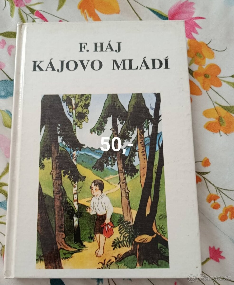 Knihy- Kája Mařík - 2