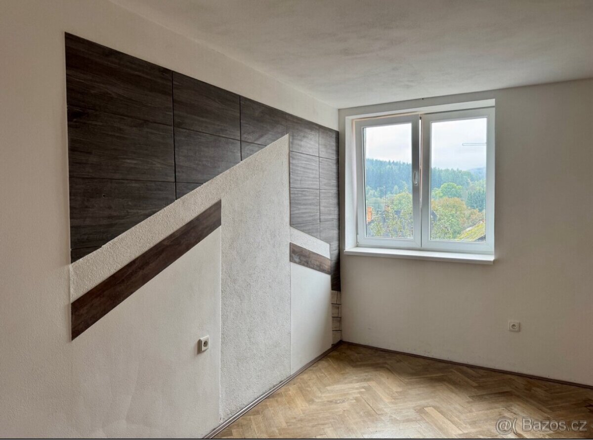 Pronájem bytu 2+1 Benešov nad Černou - 2