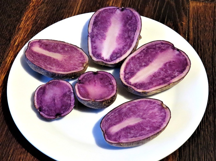 Fialové sadbové brambory - 2