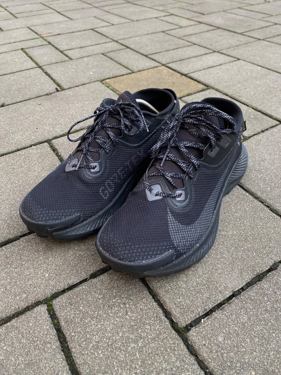 Nike Pegasus Trail - 2