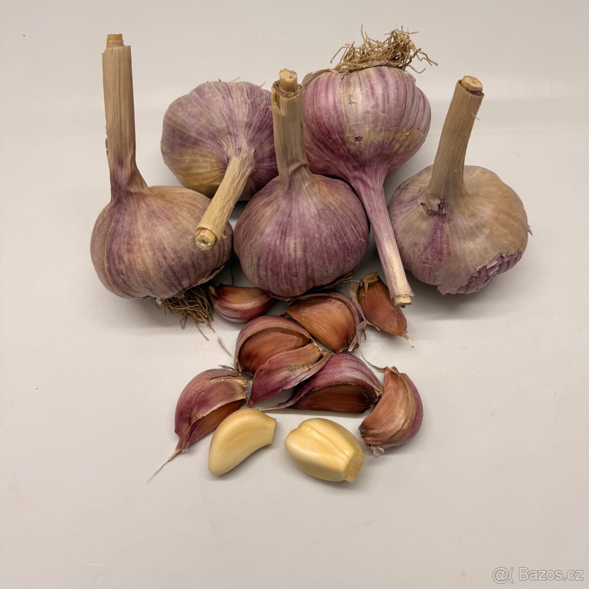 Česnek slavín - 2