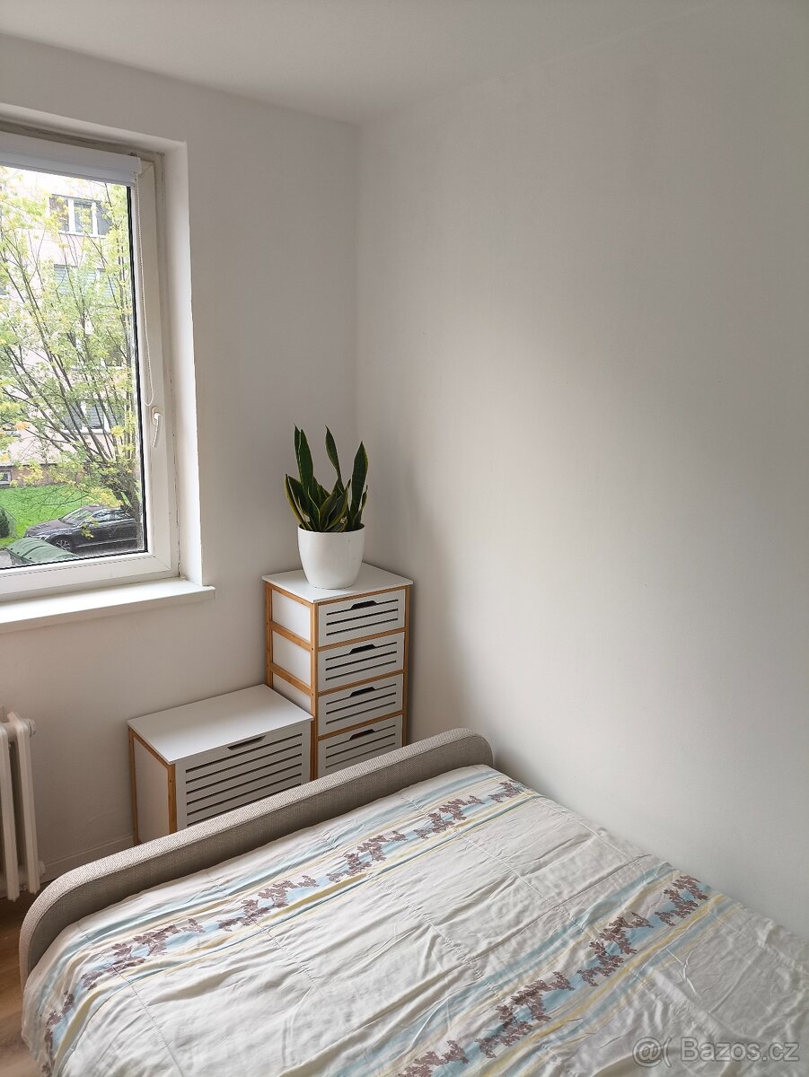 Prodej bytu 3+kk 44 m² Václava Košaře, Ostrava - Dubina - 2