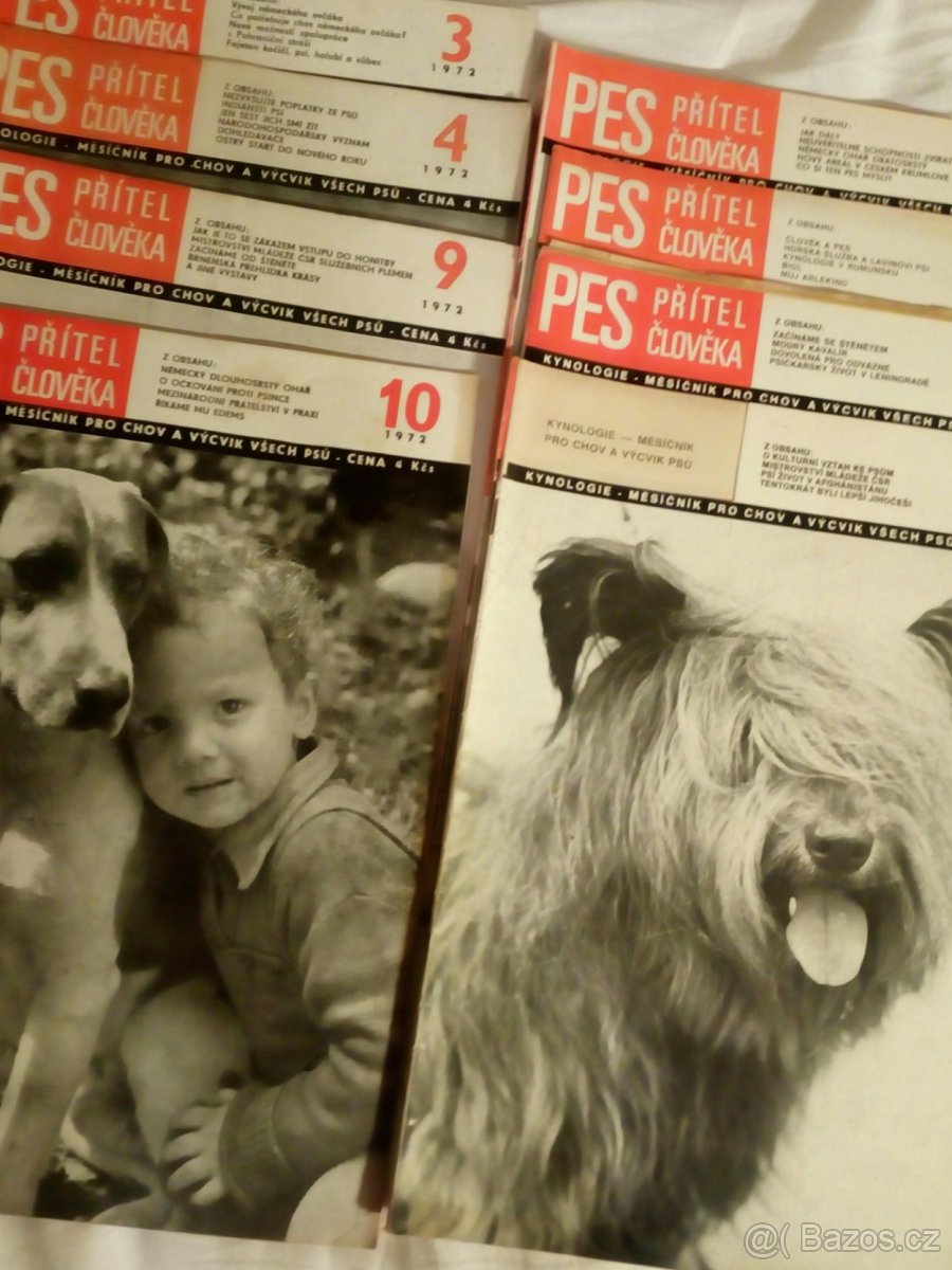 Pes přítel člověka - 2