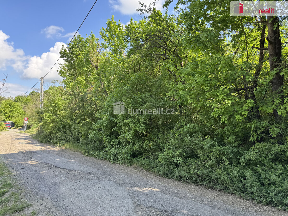 Prodej pozemku v Míkovicích 5056m2 - 2