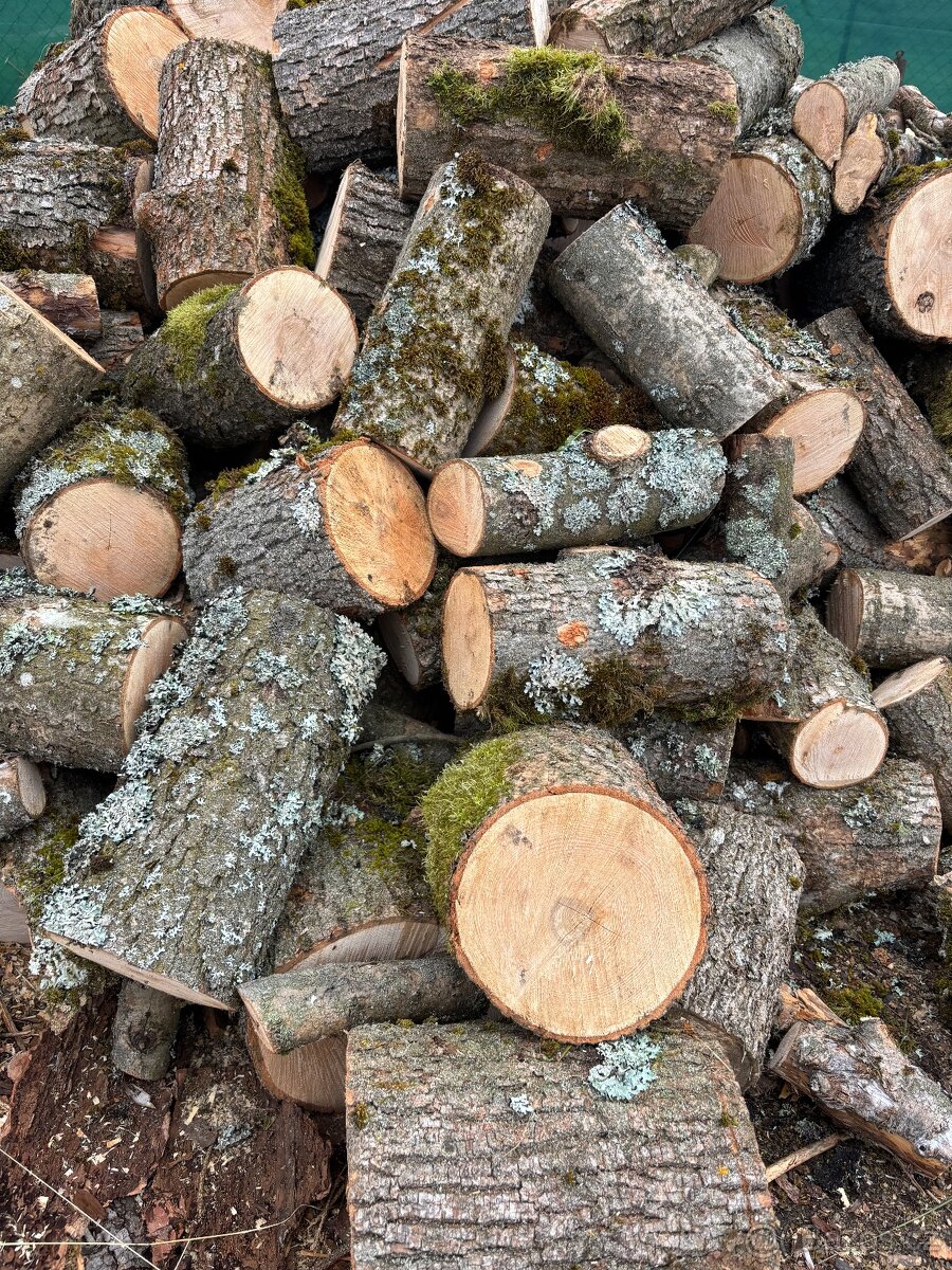 Palivové dřevo Štípaný javor DOPRAVA ZDARMA - 2