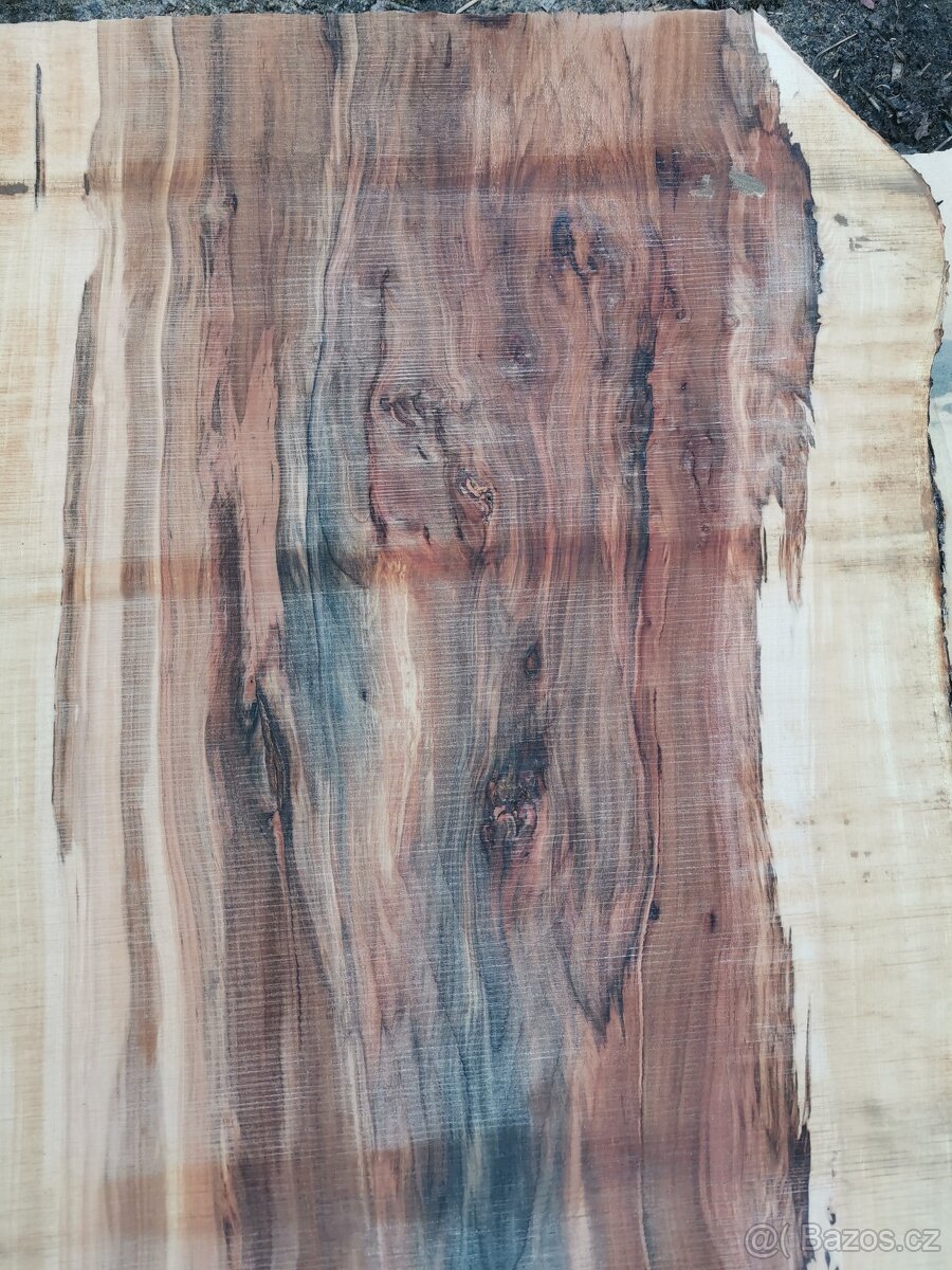 Fošny jabloň XXL - 2