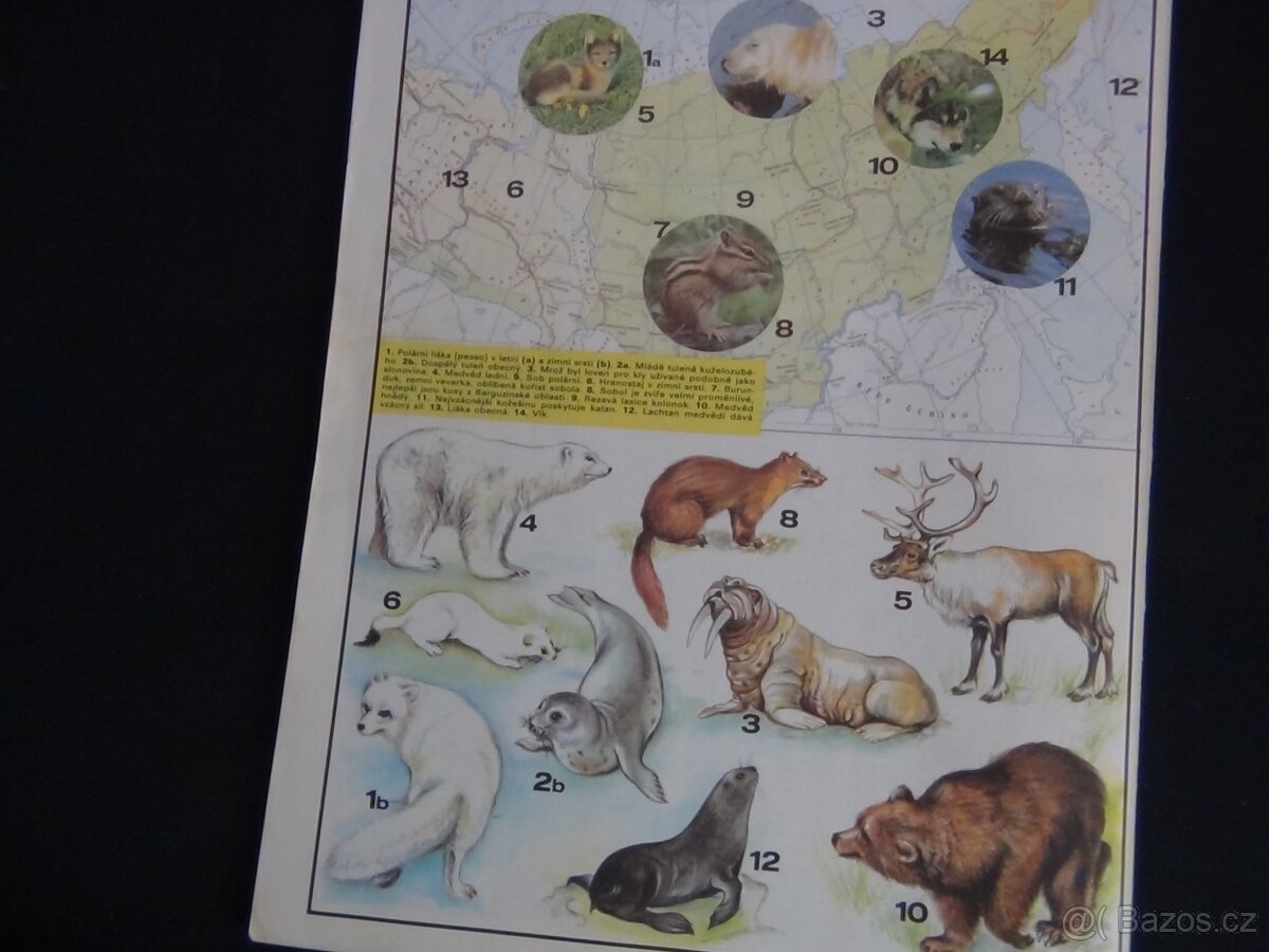 Peodám ABC letní speciál 90 - 2