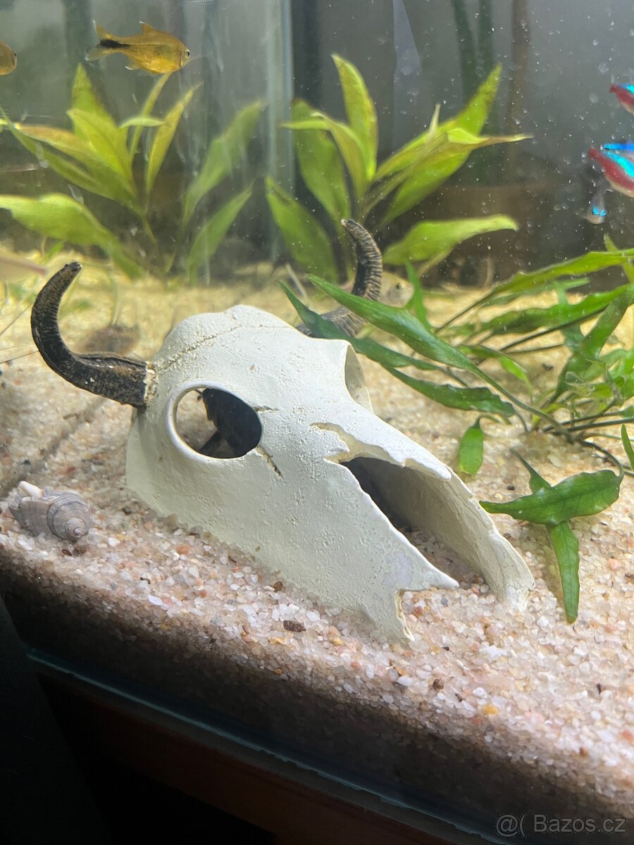 Akvarium 54 l - 2