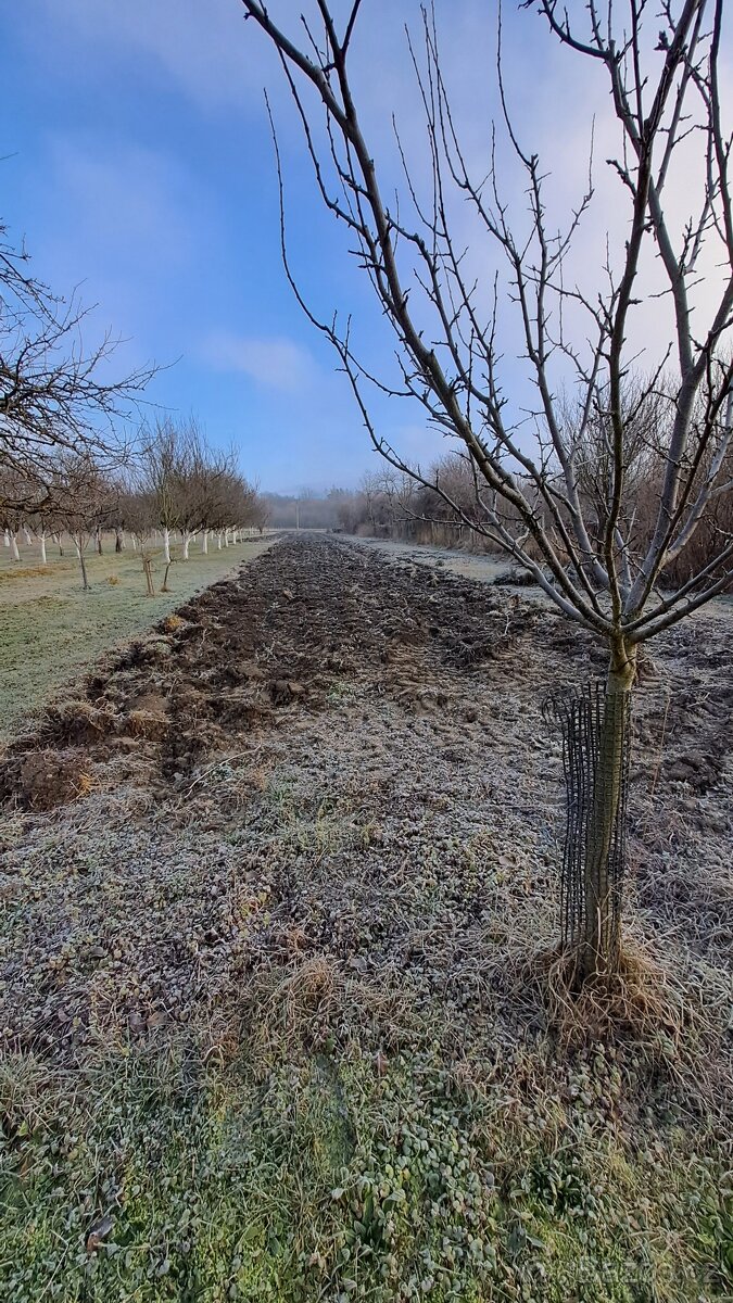 prodej stavebního pozemku - 2