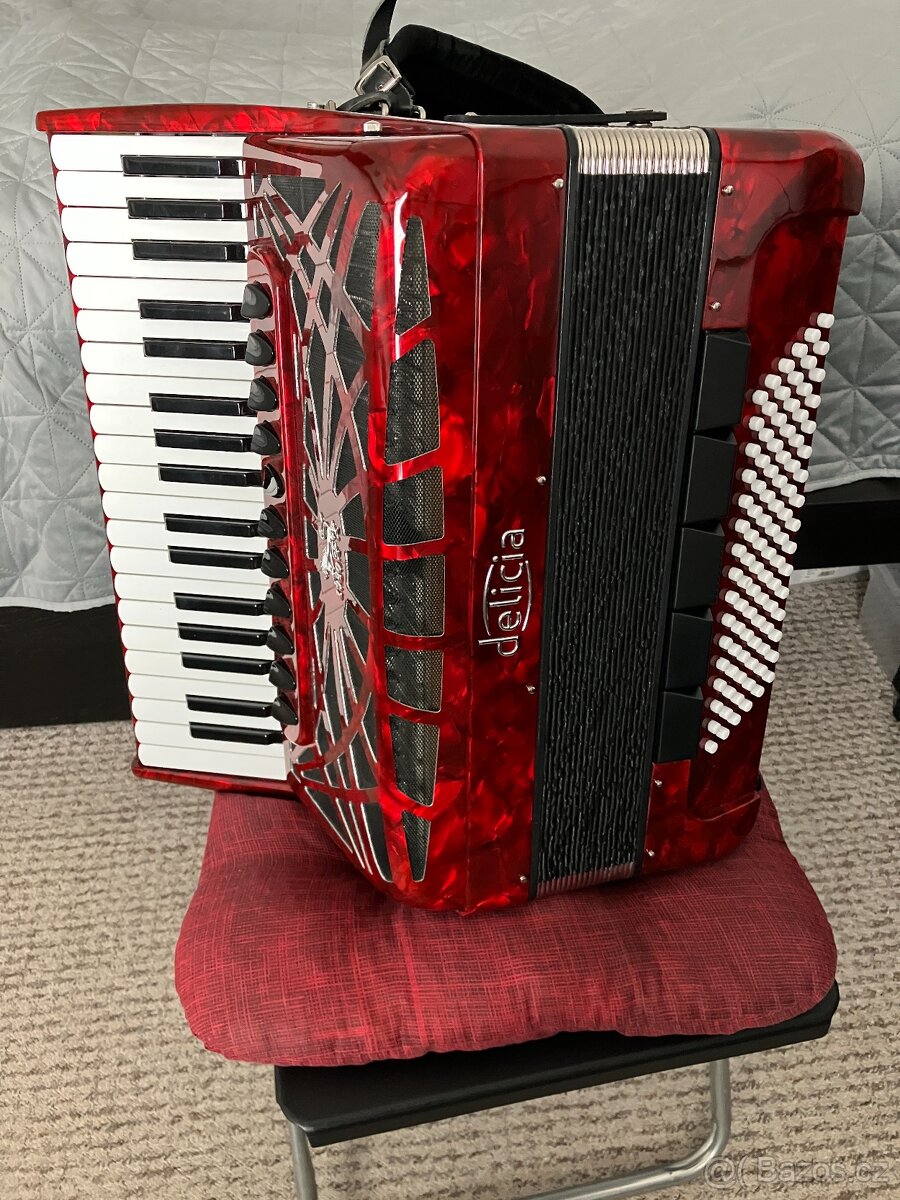 Akordeon Delicia Carmen 96 - 2