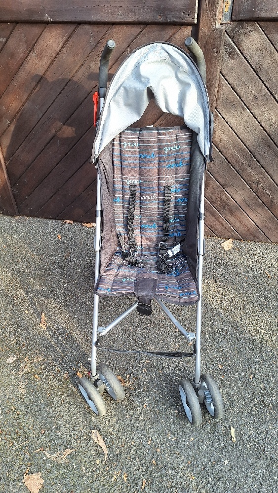 Golfový kočárek G-Mini Beny - 2