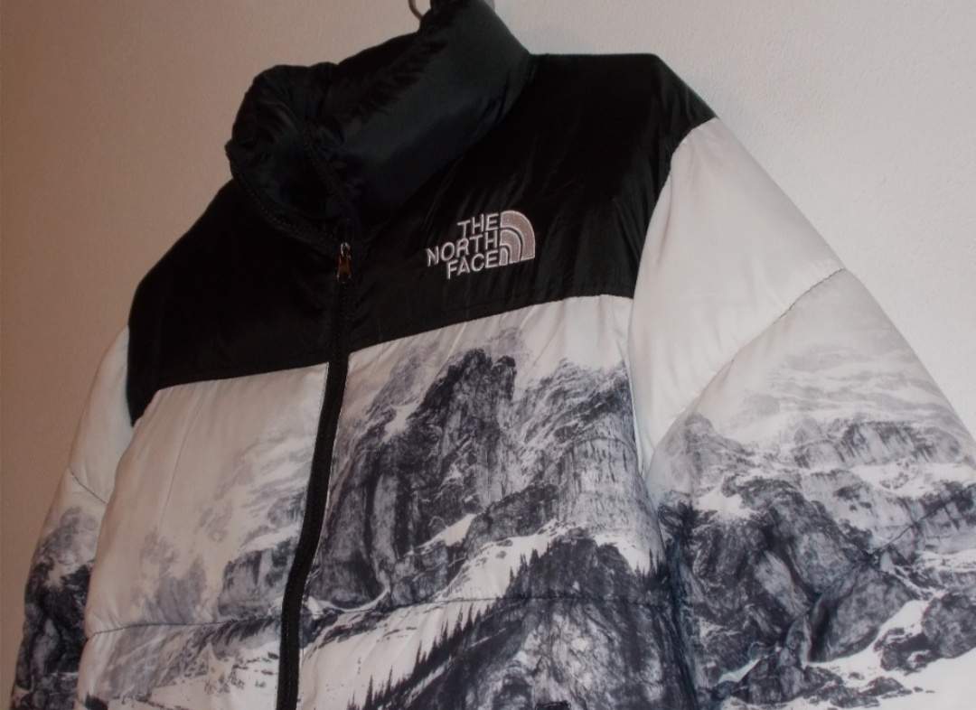THE NORTH FACE 700 - 2