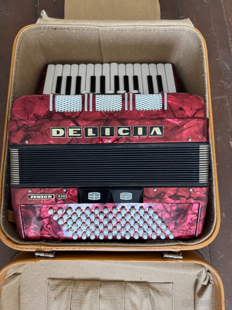 Delicia Junior XIII - 2