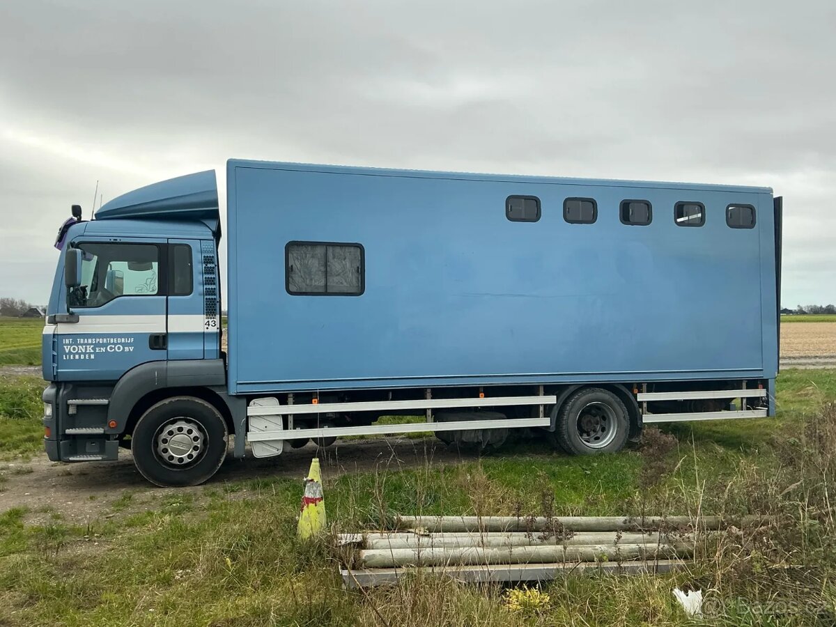 Prepravnik na kone MAN HO9 - 2