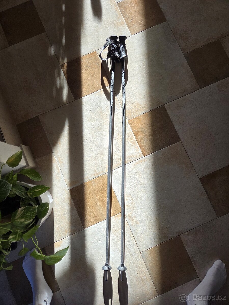 Lyžařské hůlky Arcore - 2