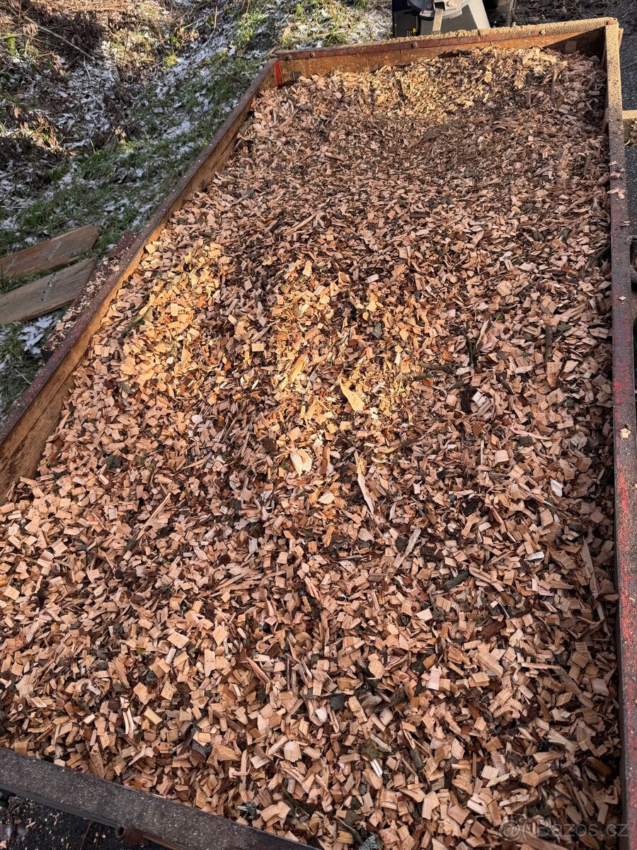 Drevni Stepka - Vrba,Javor - 2