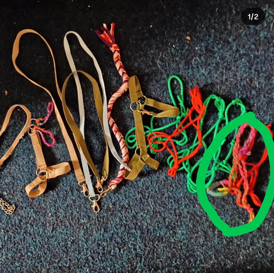 Hobby horse - více věcí - 2