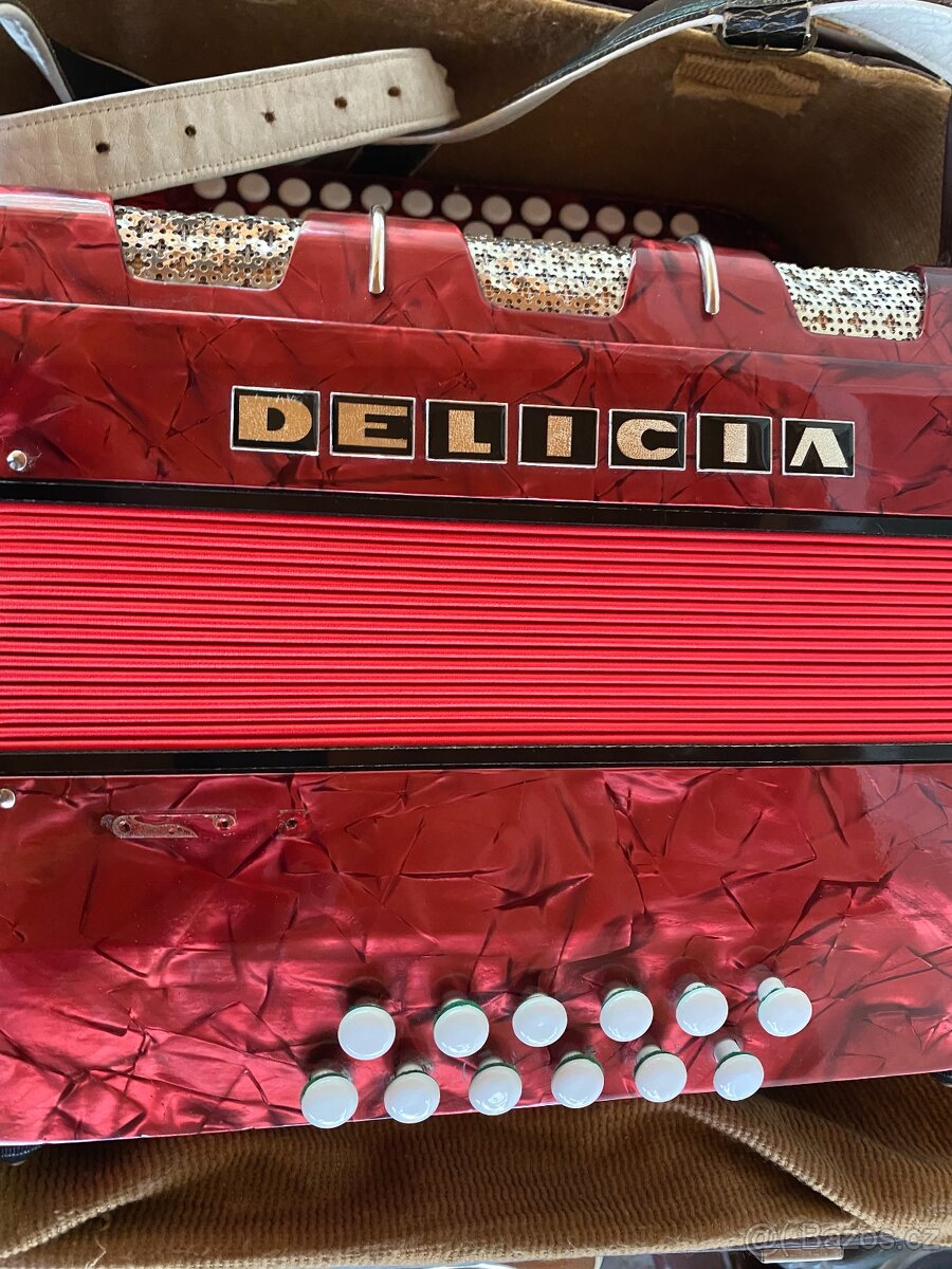 Heligonka Delicia favorit 3 - 2