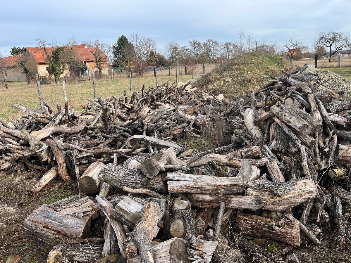 Palivové dřevo - 2