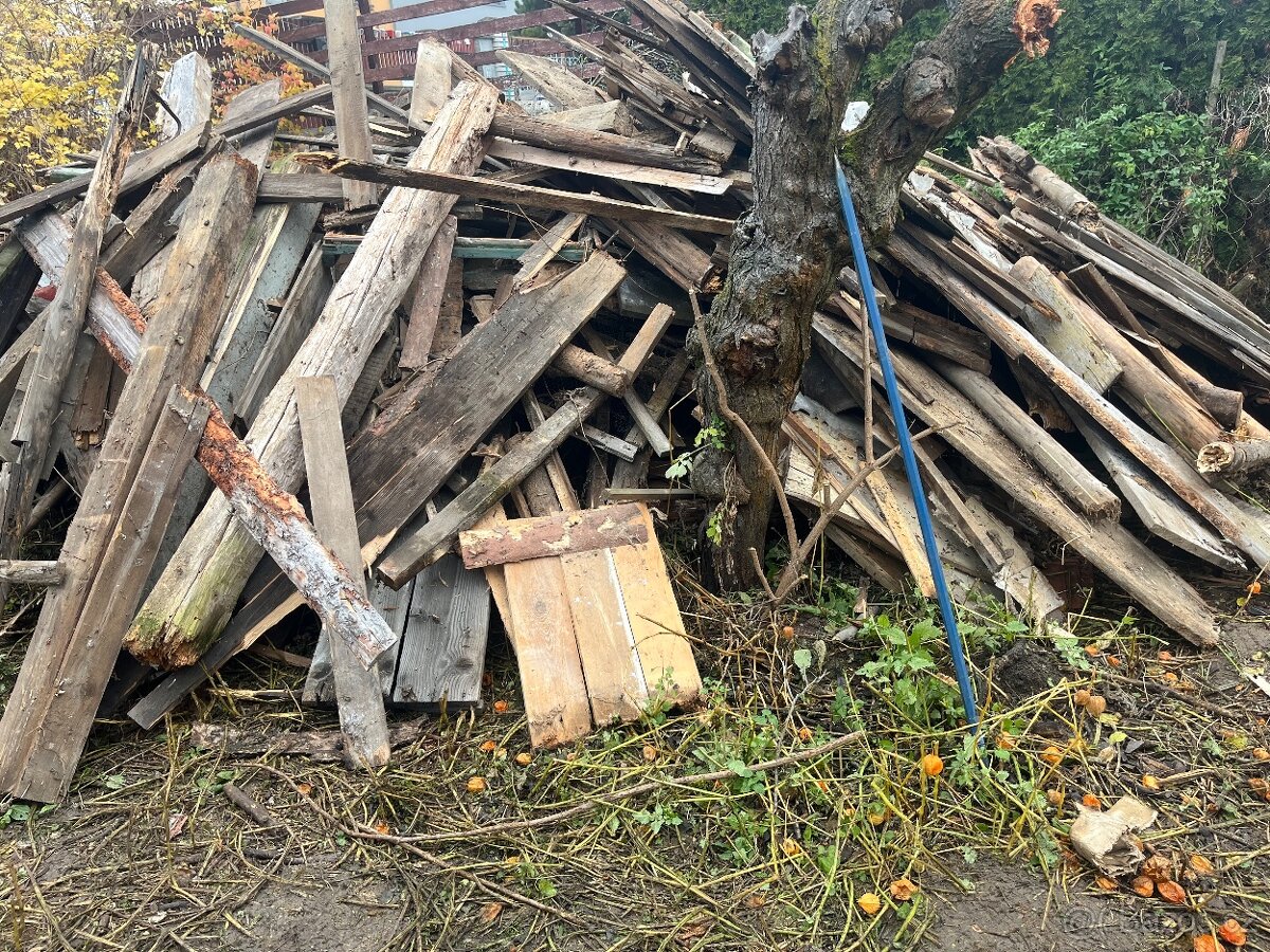 Dřevo za odvoz - 2