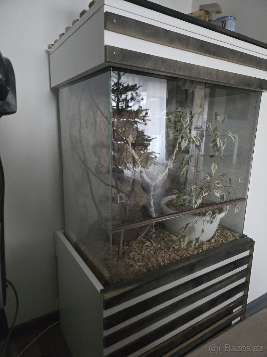 Terárium pro chameleona - 2