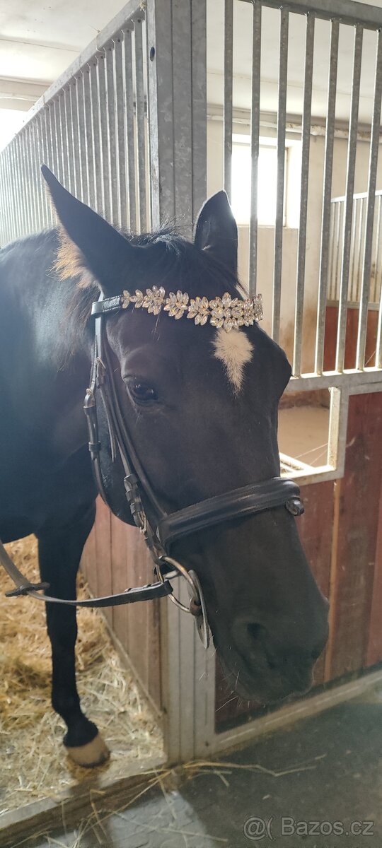 Čelenka na uzdečku - 2