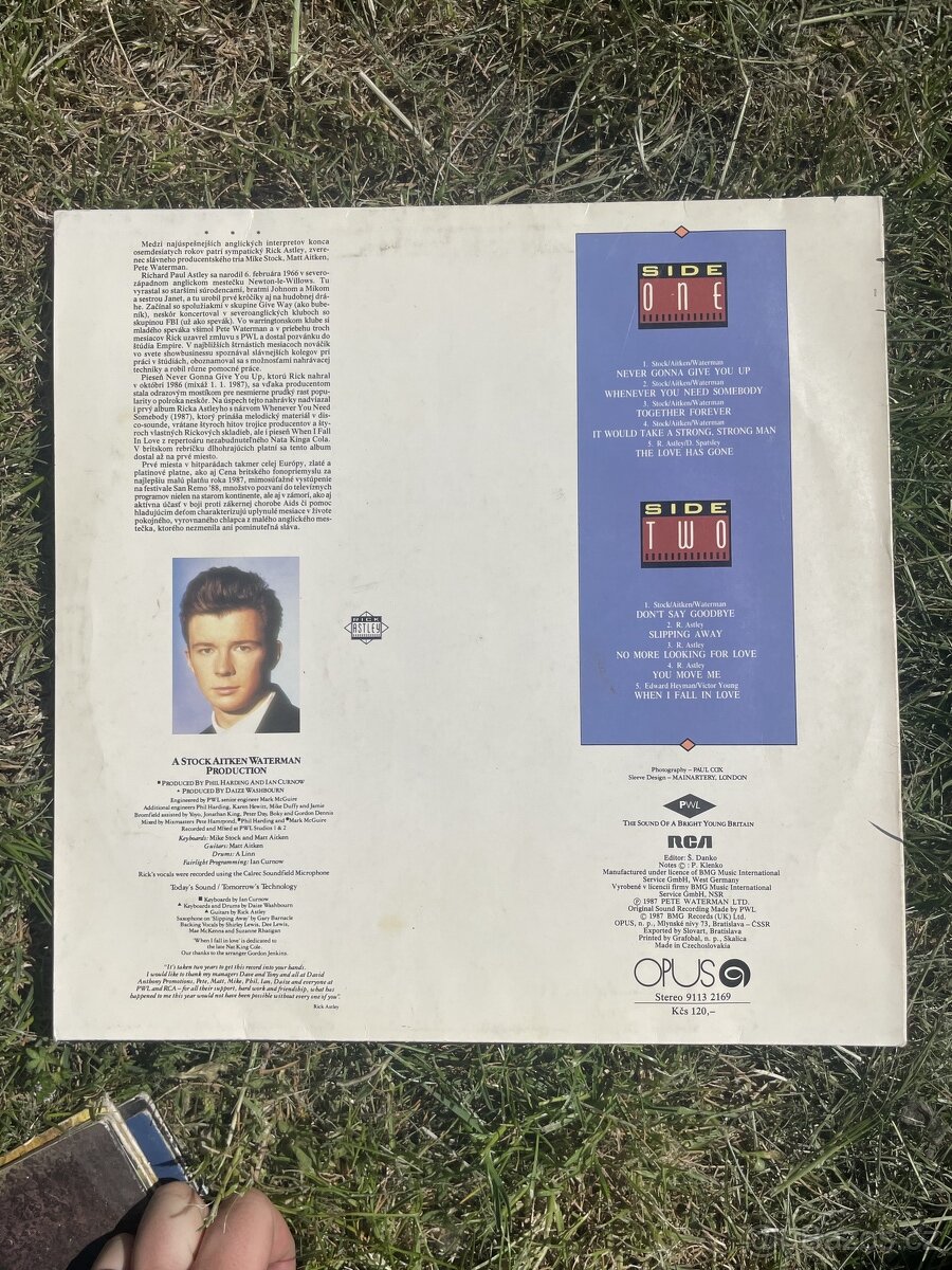 Rick Astley – Whenever You Need Somebody - 2