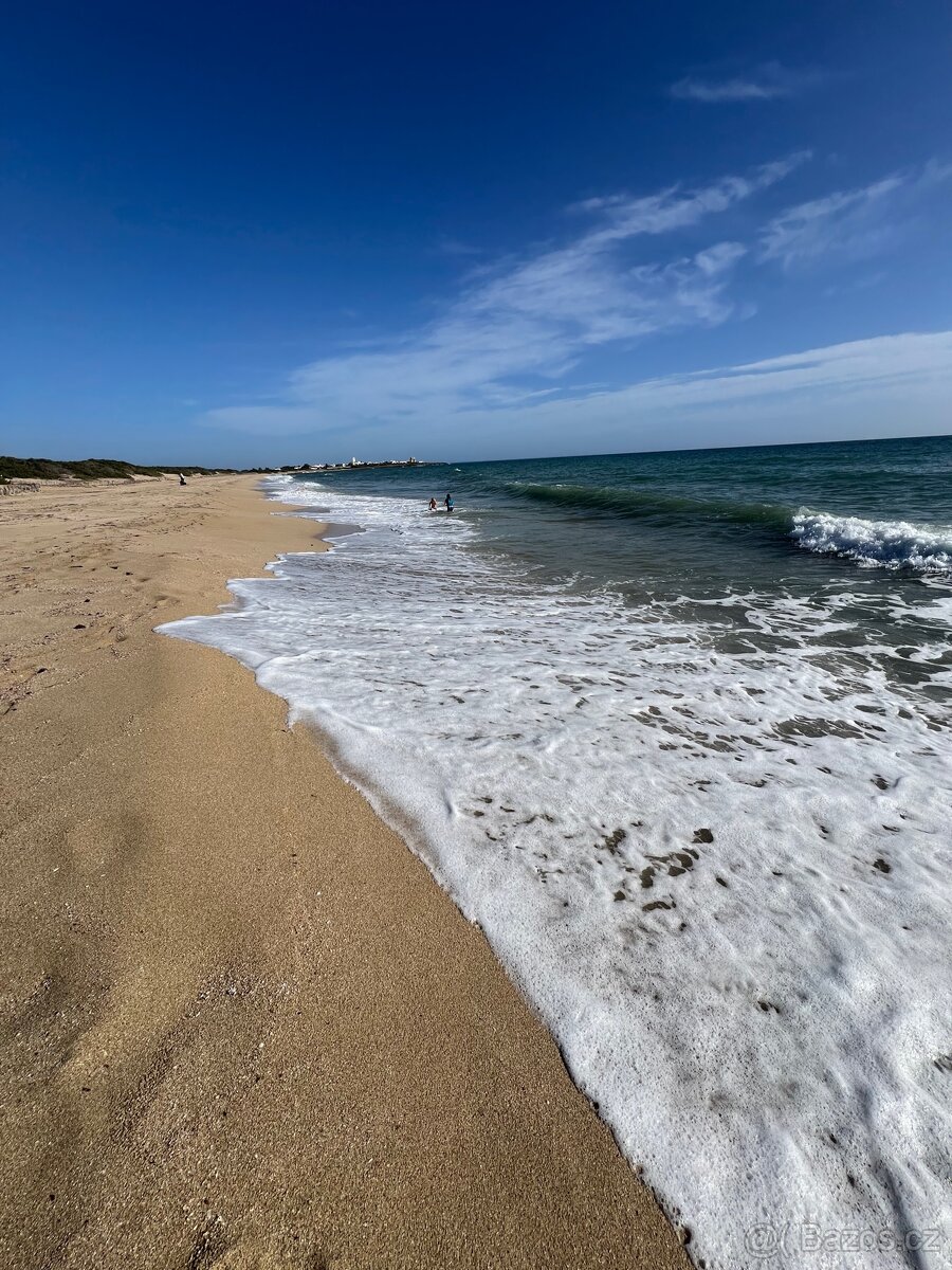 Olivový sad 8900m2 u moře 19.000kč/měsíčně - 2
