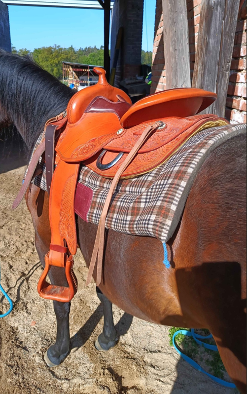 Westernové sedlo Round Freemax - 2