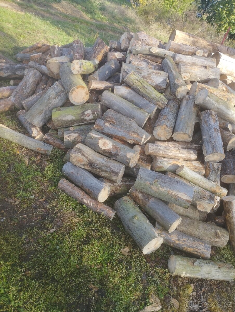 Palivove drevo 45cm delka - 2