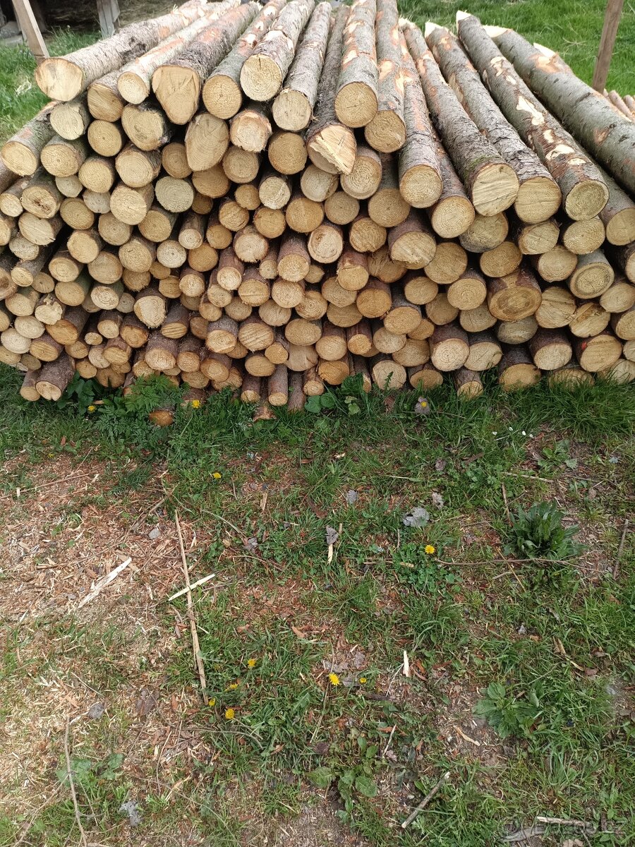 Dřevěné kůly - 2