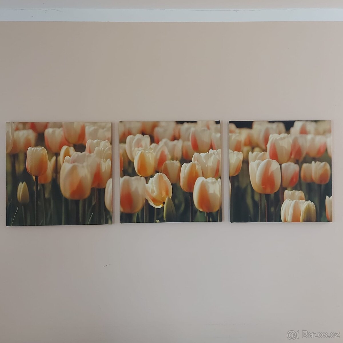 Obraz Tulipány - 2