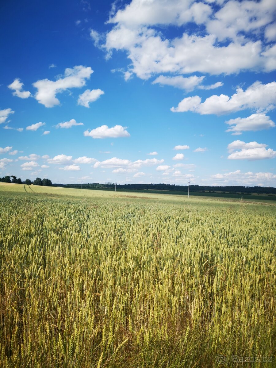 pozemek - 2