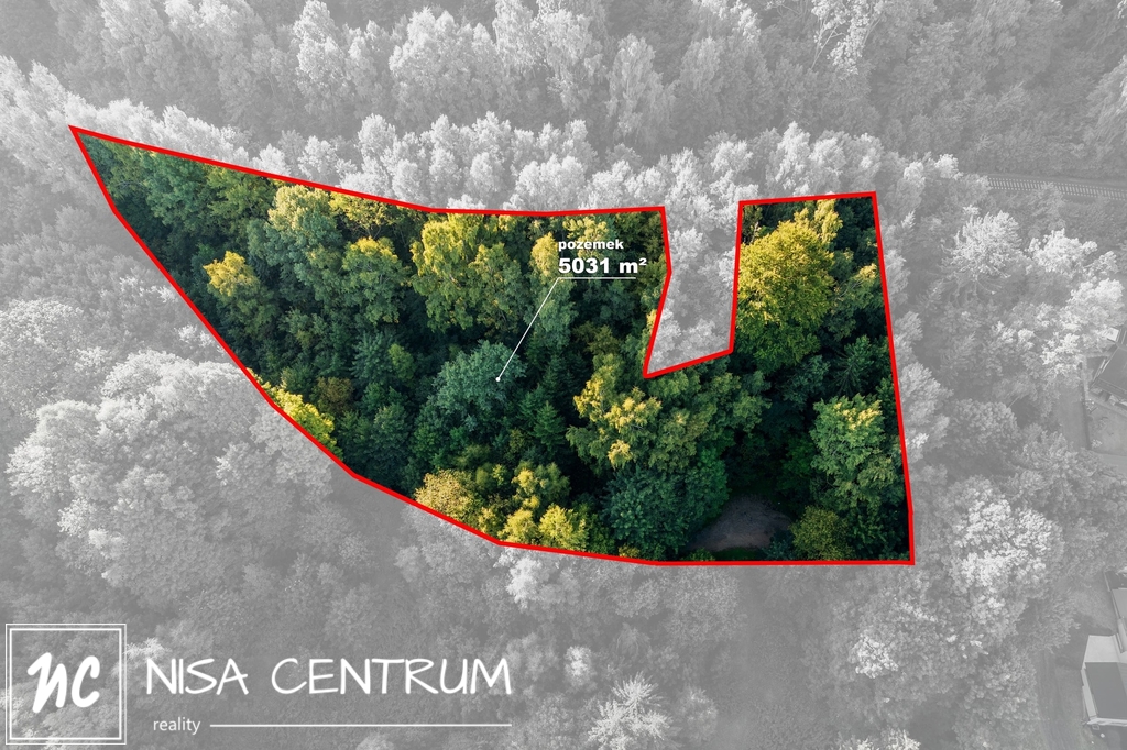 Prodej lesa 5 031 m² v Nové Vsi nad Nisou - 2
