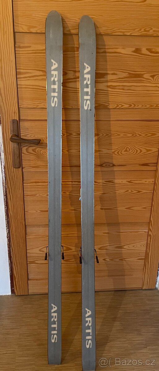 Lyže 170 Artis + hůlky 125 cm - 2