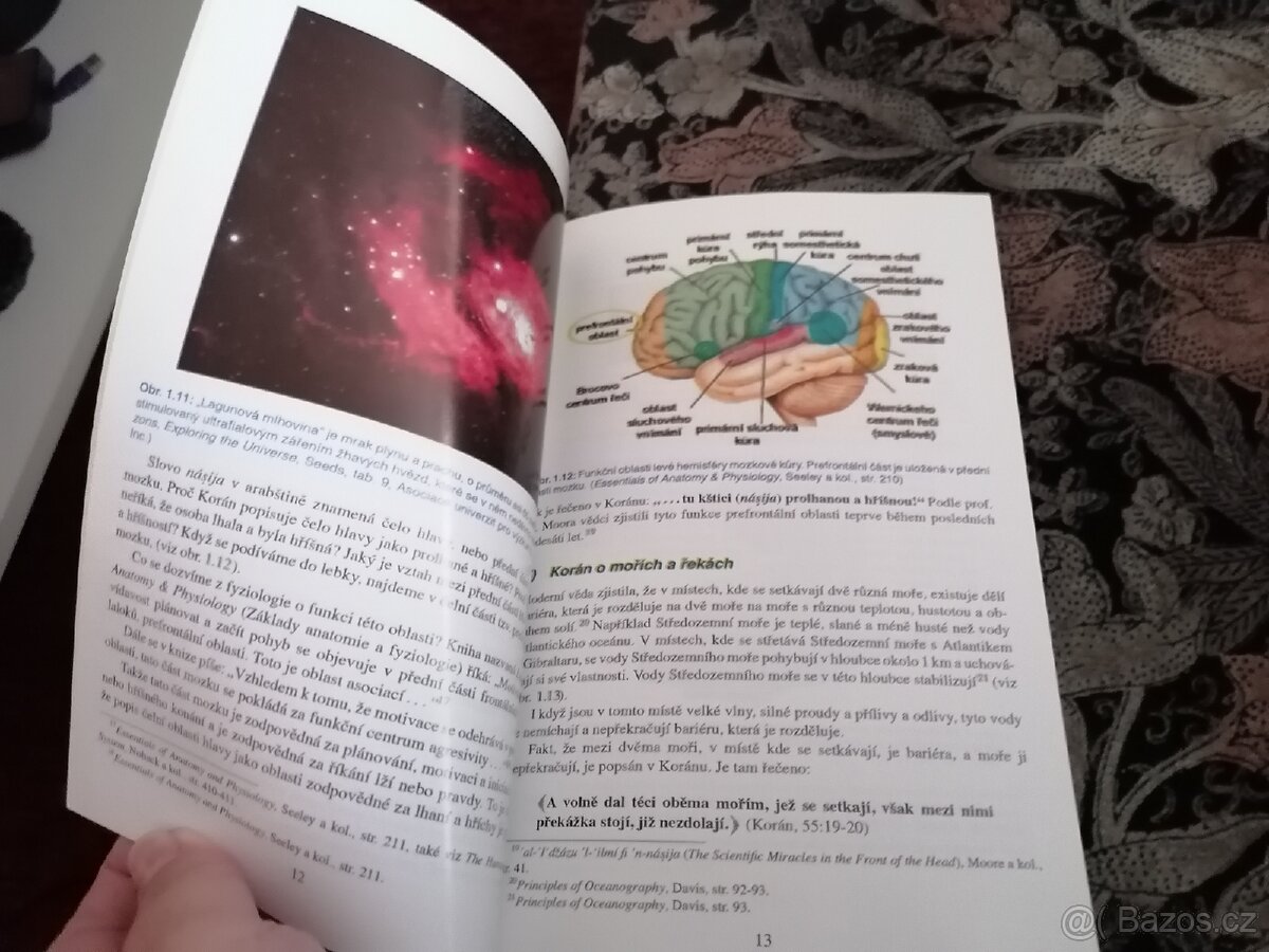 Stručný průvodce k porozumění Islámu - 2