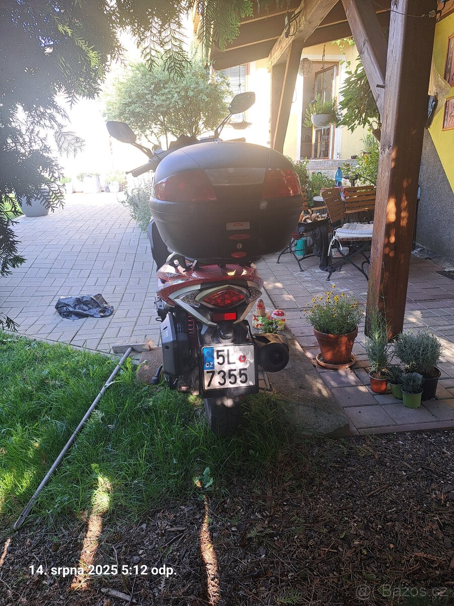 MAXON MATADOR - 2