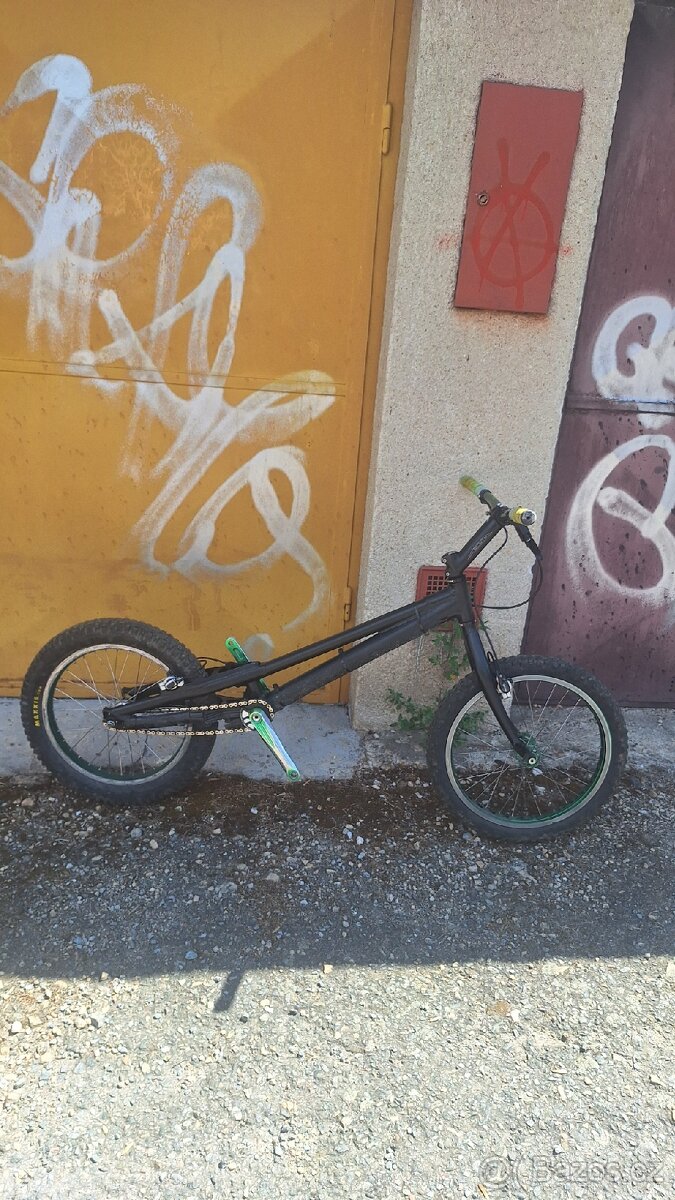 Onza Zoo 20 - 2