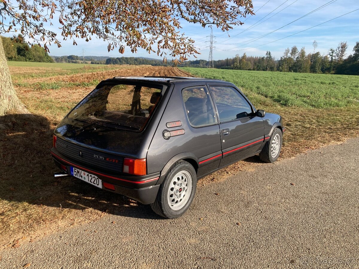 205 GTI 1.6 - 2