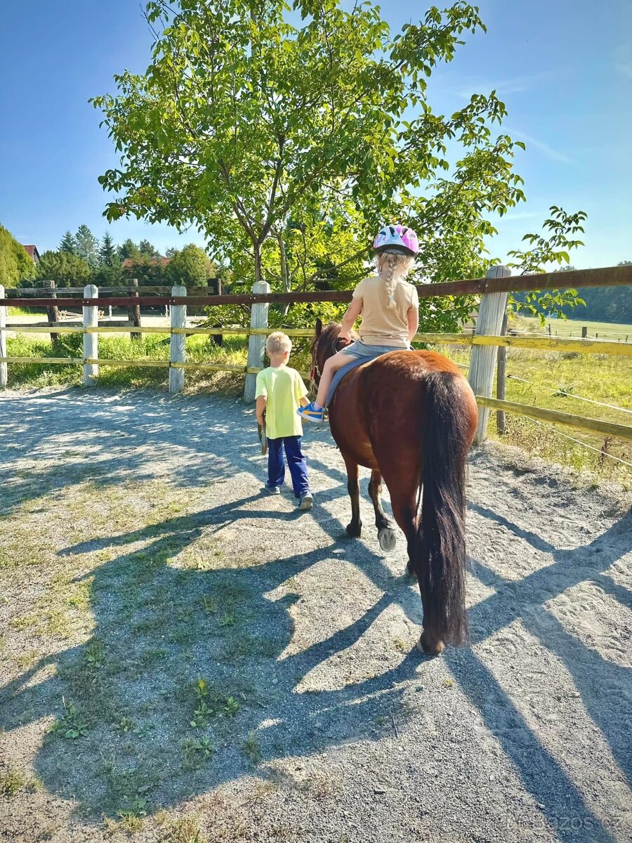 Hodná osmiletá ponička - 2