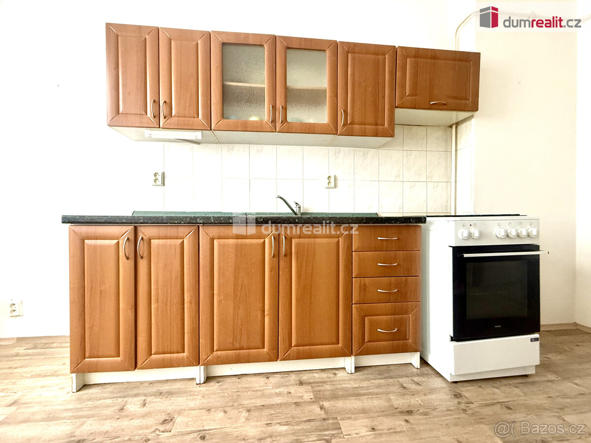 Pronájem prostorného bytu 1+1 v Děčíně v ulici Elišky Krásno - 2