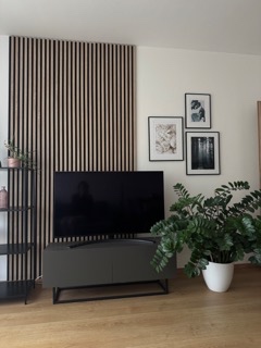 Televize LG 49NANO86 - výborný stav, jako nová - 2