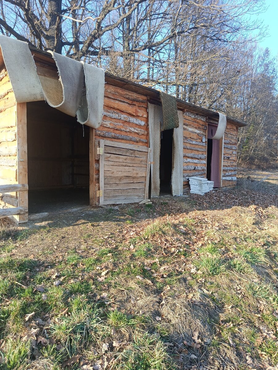 Pastevní ustájení - 2