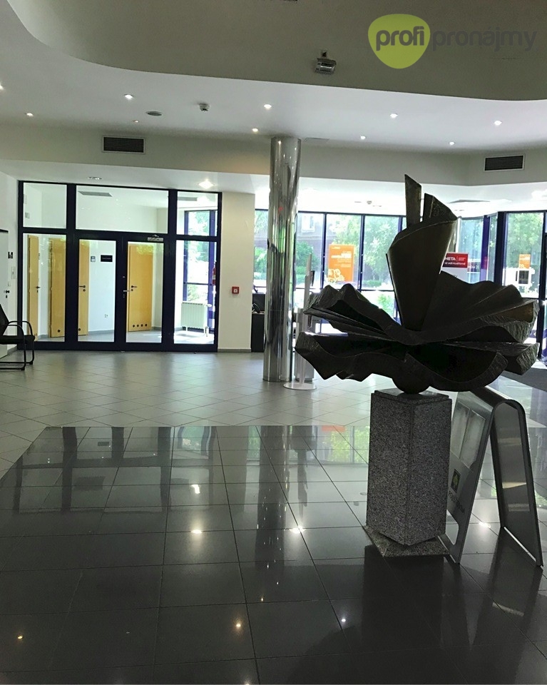 Pronájem obchodního prostoru cca 400 m² - 2