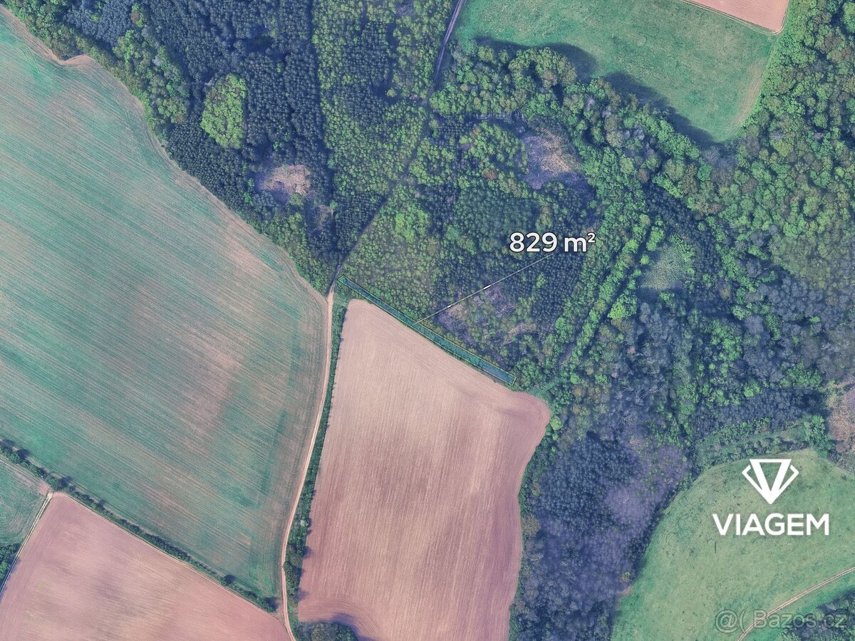 Les 829 m² - 2