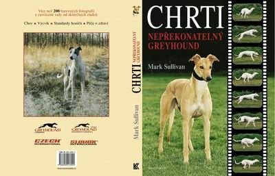 CHRTI - Nepřekonatelný GREYHOUND - 2